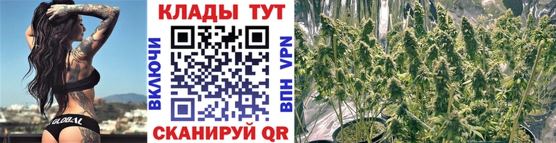 Виды наркотиков купить Лангепас Alpha-PVP  kraken ССЫЛКА  ГАШИШ  БУТИРАТ  Кокаин  Канабис  Мефедрон 