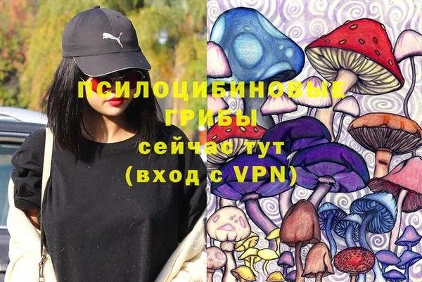 дмт Абинск