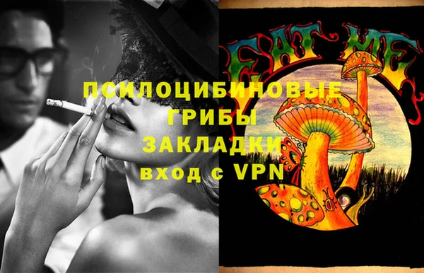 гашик Абдулино