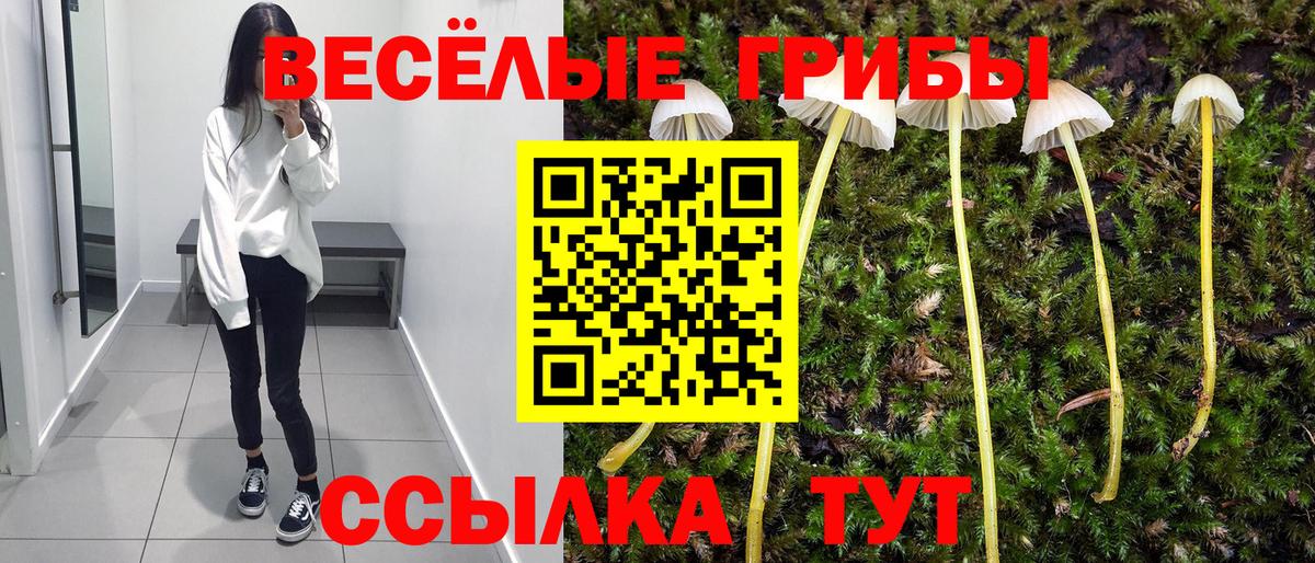 Лангепас  Псилоцибиновые грибы Psilocybine cubensis  Вход с VPN 