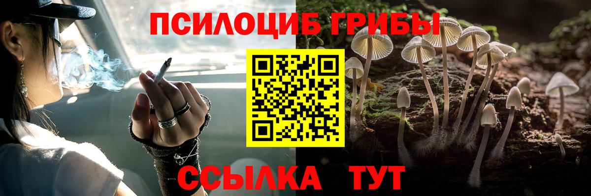 Галлюциногенные грибы Psilocybe Лангепас